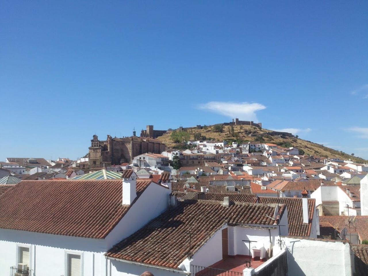 Bamba Aracena-only Adults Aracena